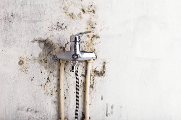 Best Mold Testing  in Gulfport, MS