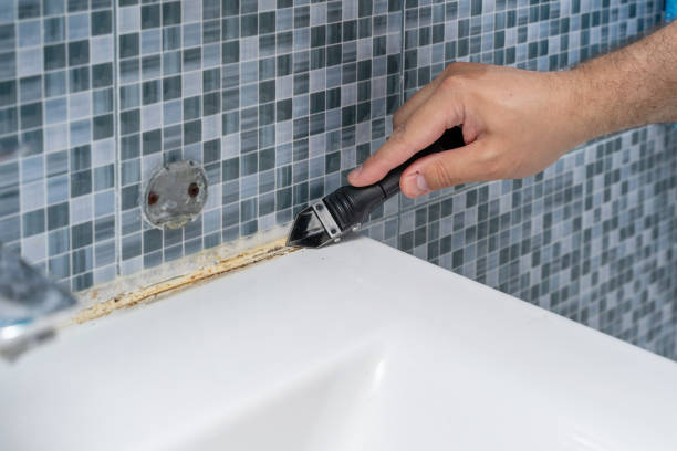 Best Mold Remediation Services  in Gulfport, MS
